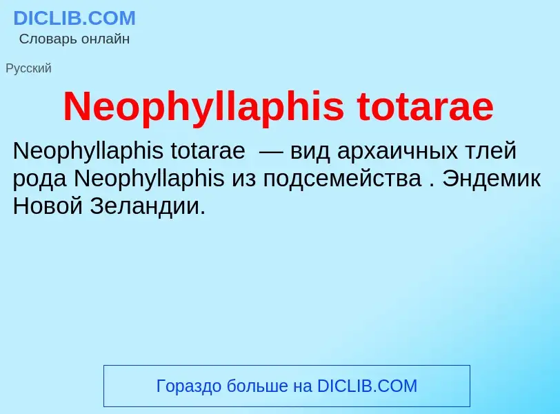 Что такое Neophyllaphis totarae - определение