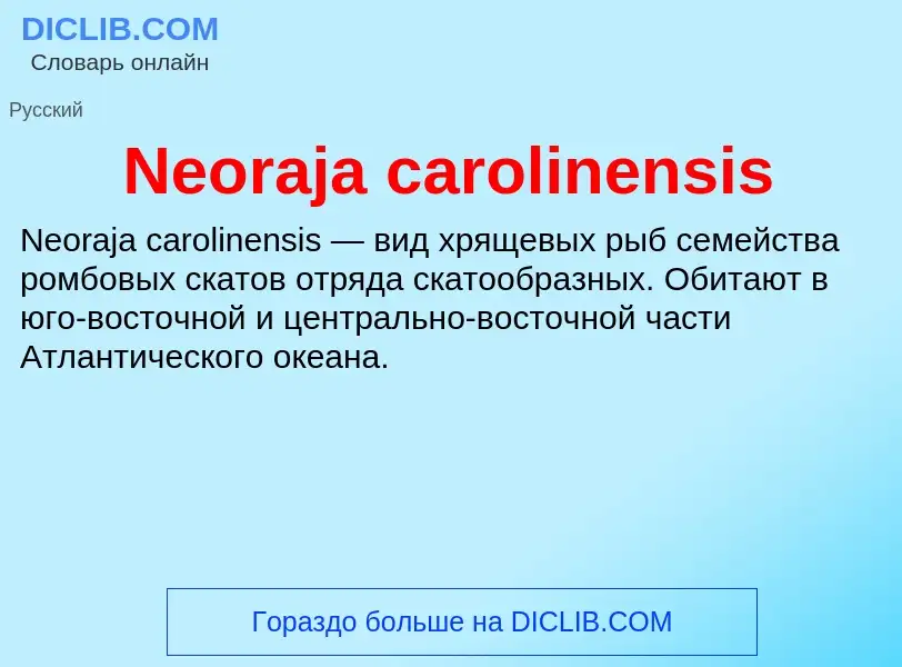 What is Neoraja carolinensis - meaning and definition