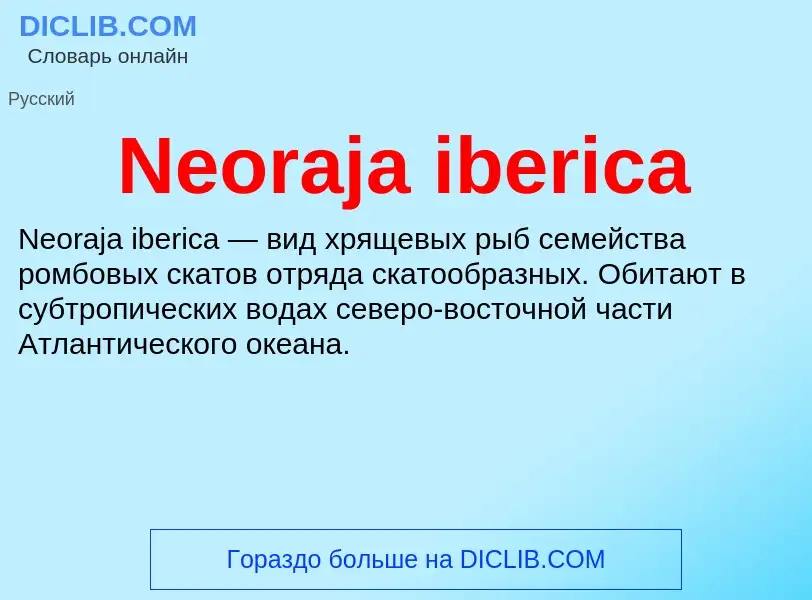 What is Neoraja iberica - meaning and definition