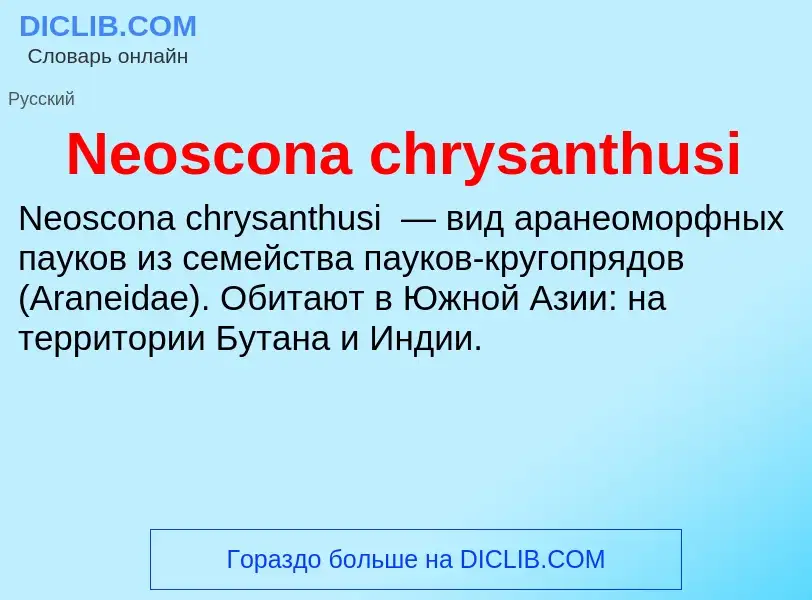 What is Neoscona chrysanthusi - meaning and definition