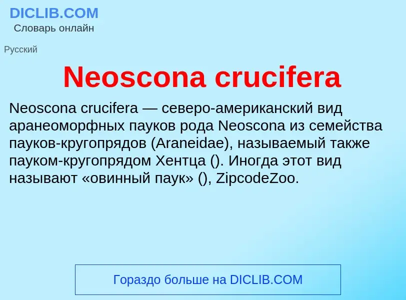 What is Neoscona crucifera - meaning and definition