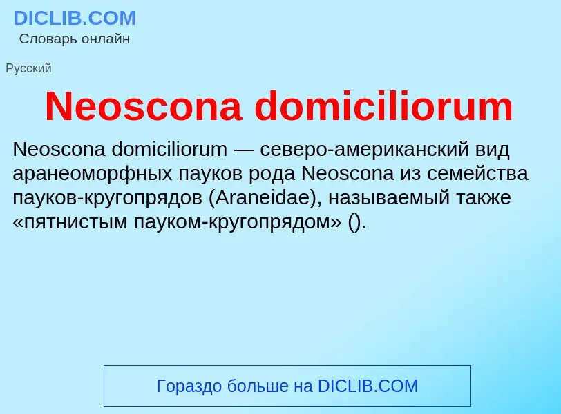 What is Neoscona domiciliorum - meaning and definition