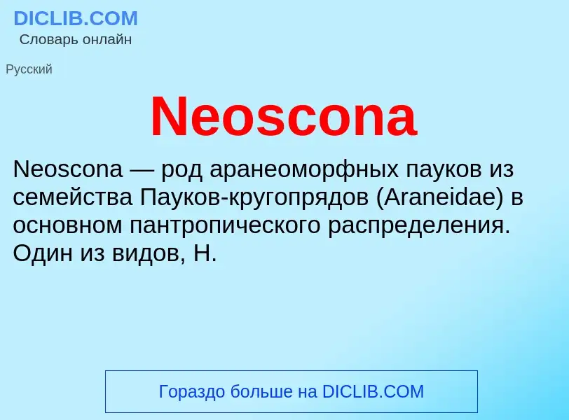 Was ist Neoscona - Definition