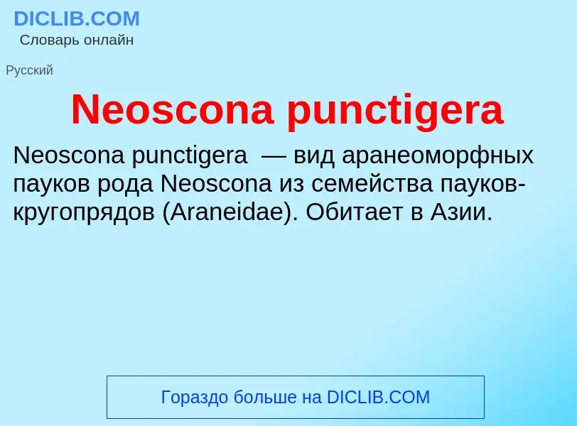 What is Neoscona punctigera - meaning and definition