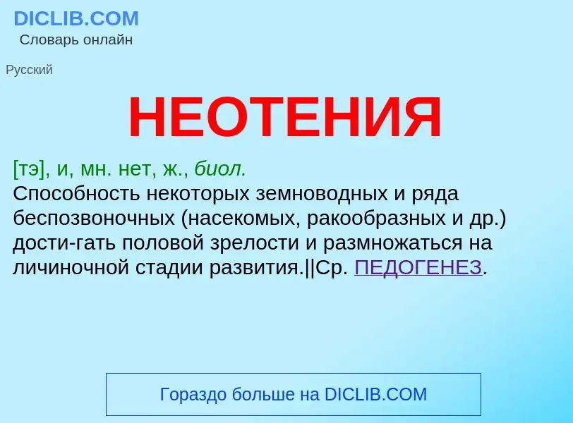 Wat is НЕОТЕНИЯ - definition