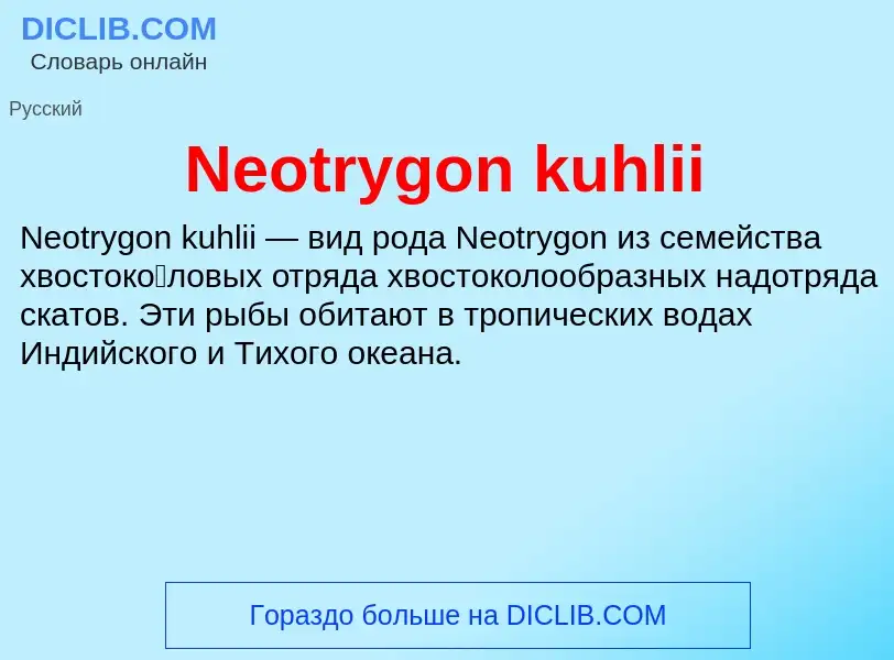 What is Neotrygon kuhlii - meaning and definition