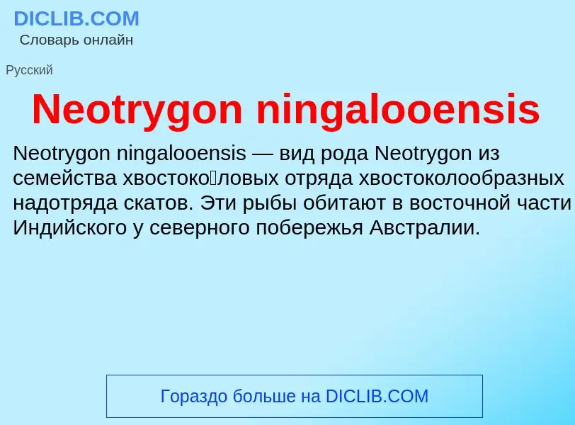 What is Neotrygon ningalooensis - meaning and definition