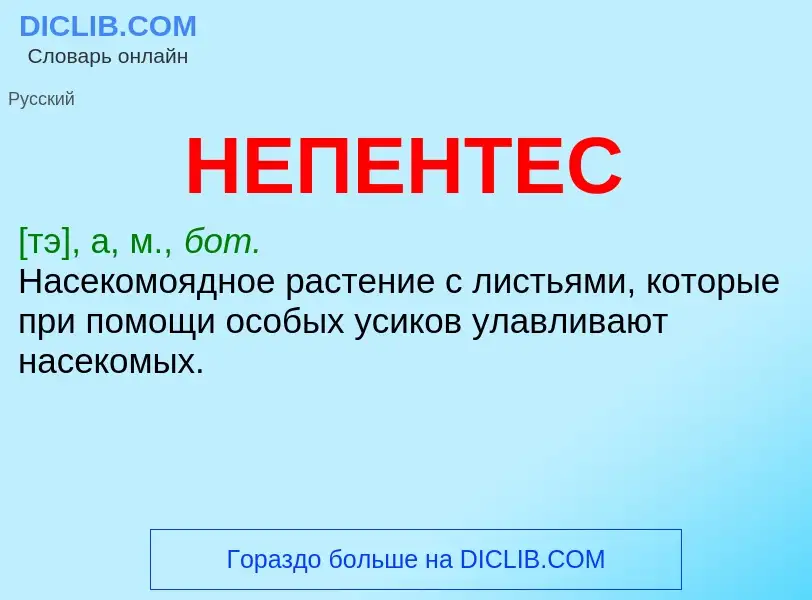 ¿Qué es НЕПЕНТЕС? - significado y definición