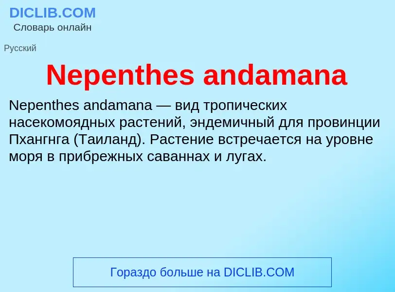 Was ist Nepenthes andamana - Definition