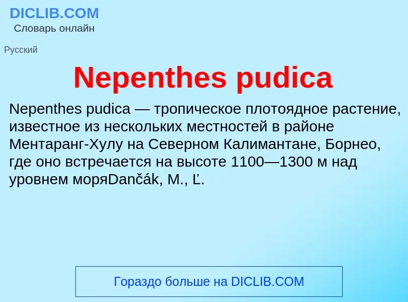 What is Nepenthes pudica - meaning and definition