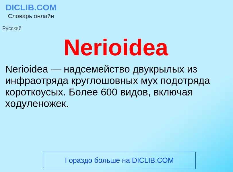 What is Nerioidea - meaning and definition