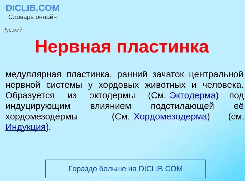 Что такое Н<font color="red">е</font>рвная пласт<font color="red">и</font>нка - определение