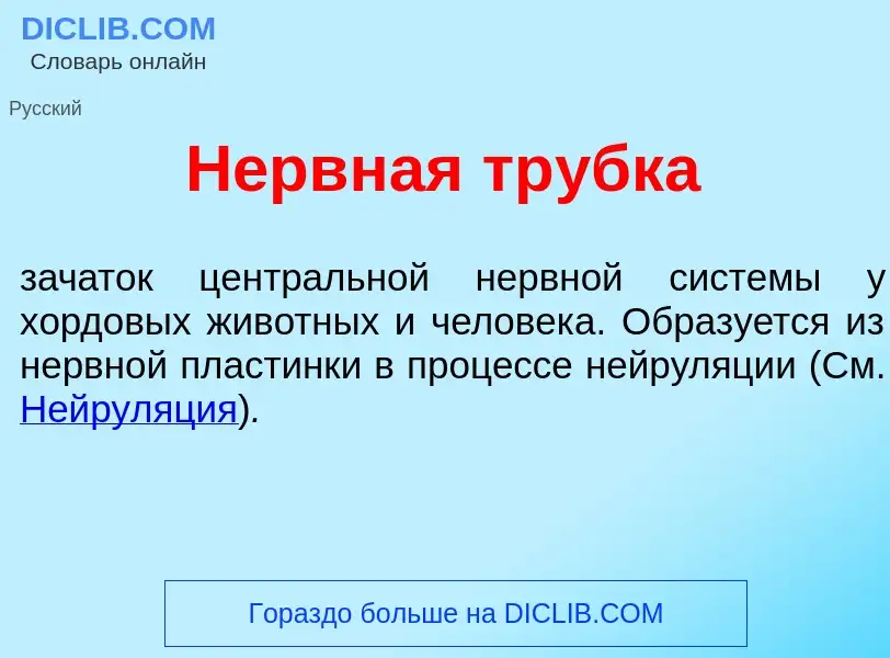 Wat is Н<font color="red">е</font>рвная тр<font color="red">у</font>бка - definition