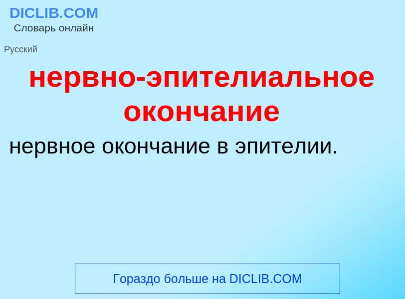 Что такое нервно-эпителиальное окончание - определение