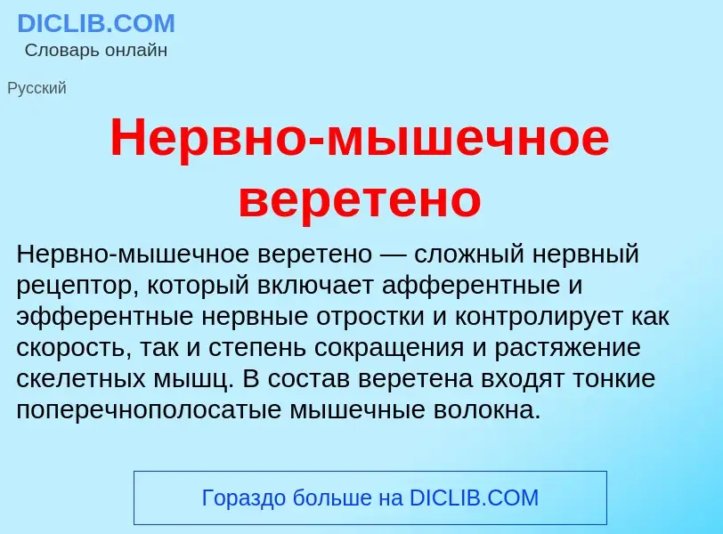 Что такое Нервно-мышечное веретено - определение