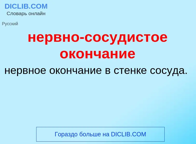 Что такое нервно-сосудистое окончание - определение