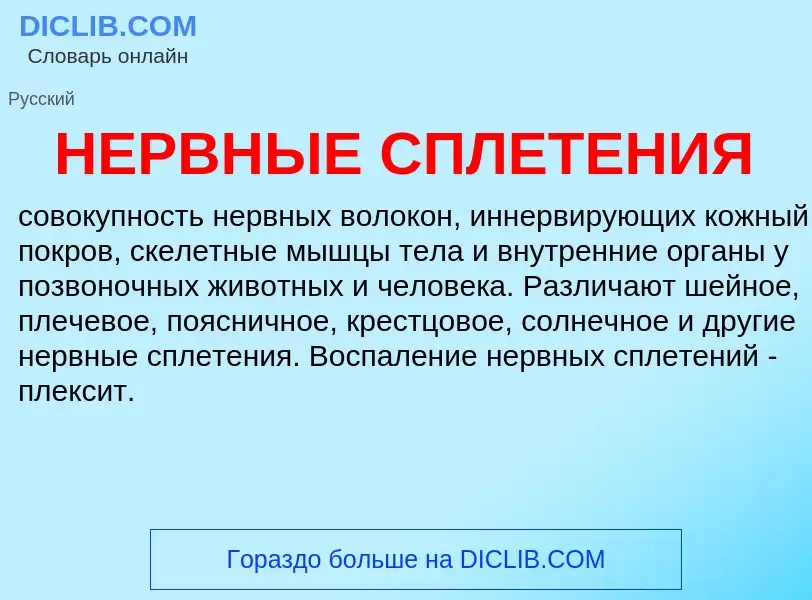 What is НЕРВНЫЕ СПЛЕТЕНИЯ - definition