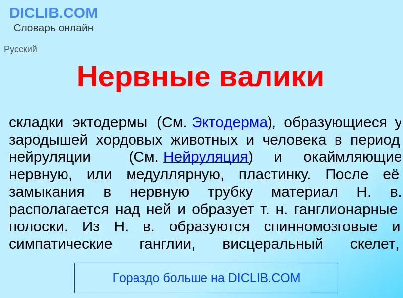 What is Н<font color="red">е</font>рвные в<font color="red">а</font>лики - definition