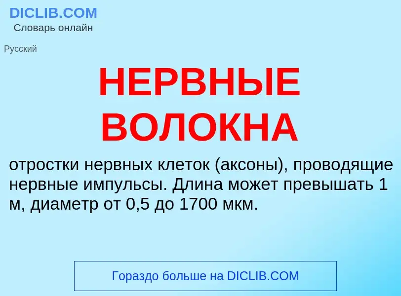 ¿Qué es НЕРВНЫЕ ВОЛОКНА? - significado y definición