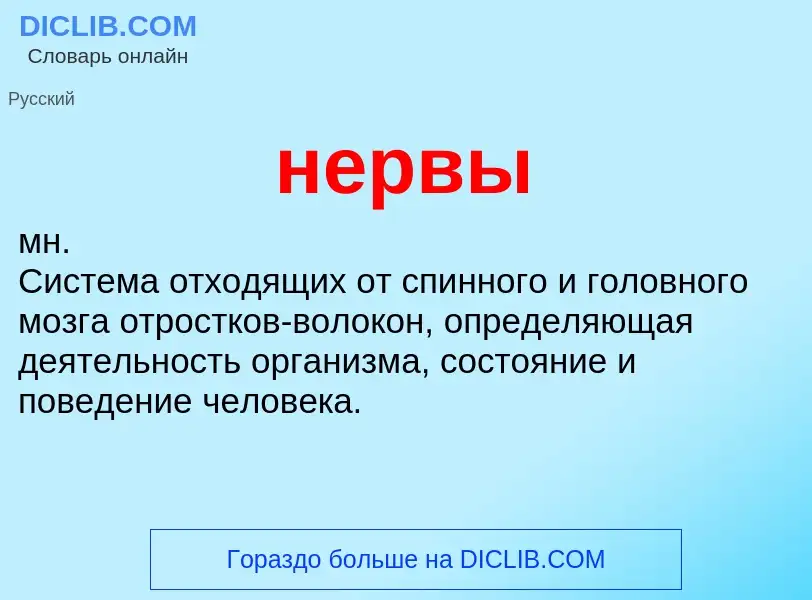 What is нервы - definition