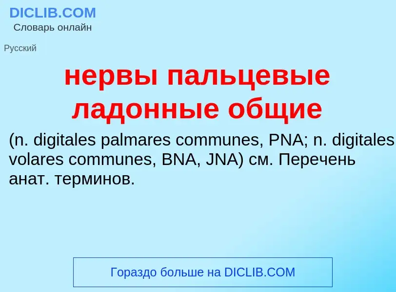 Что такое нервы пальцевые ладонные общие  - определение