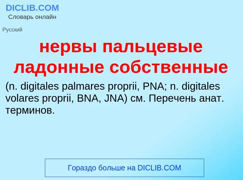 Что такое нервы пальцевые ладонные собственные  - определение