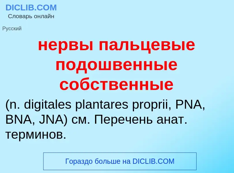 Что такое нервы пальцевые подошвенные собственные  - определение