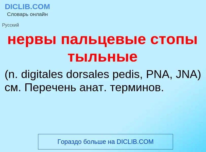 Что такое нервы пальцевые стопы тыльные  - определение