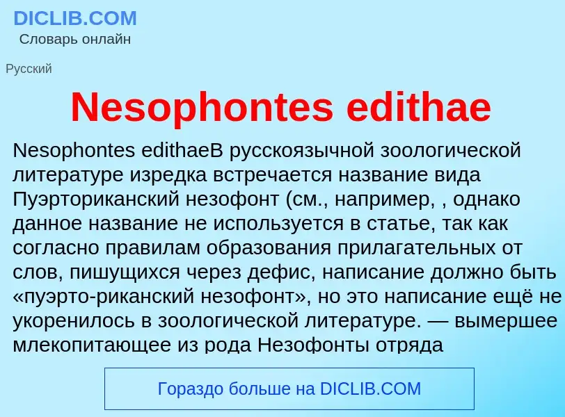 What is Nesophontes edithae - meaning and definition