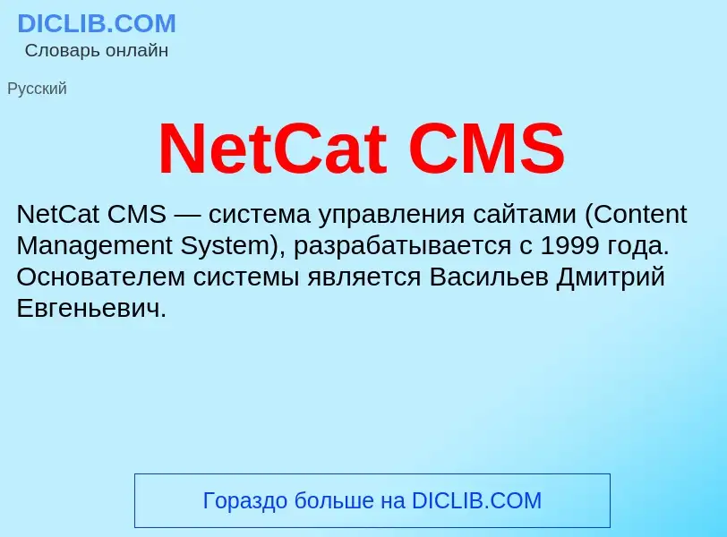 What is NetCat CMS - meaning and definition