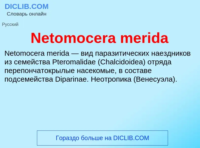 Что такое Netomocera merida - определение