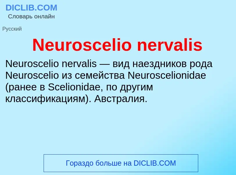 Что такое Neuroscelio nervalis - определение