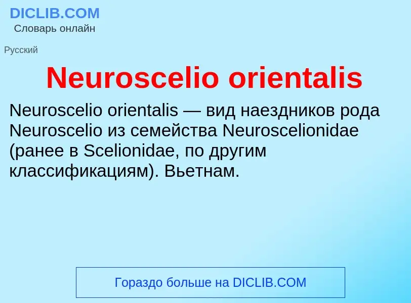 Что такое Neuroscelio orientalis - определение