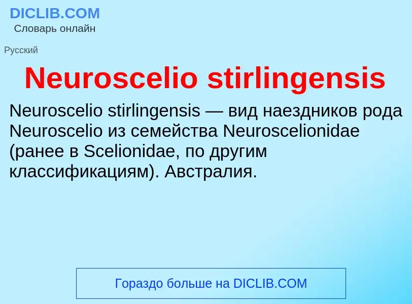 Что такое Neuroscelio stirlingensis - определение