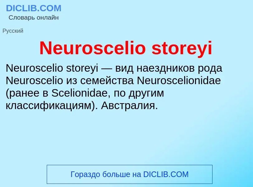 Что такое Neuroscelio storeyi - определение