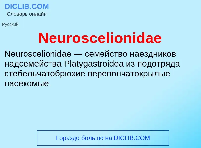 Что такое Neuroscelionidae - определение