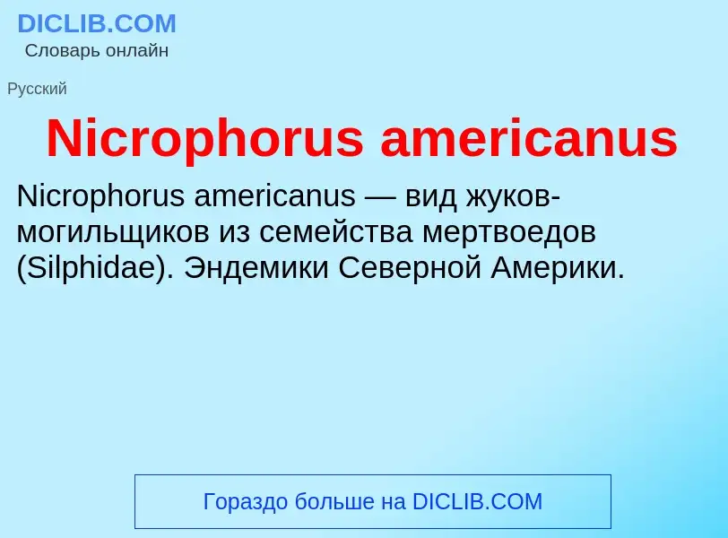 Что такое Nicrophorus americanus - определение