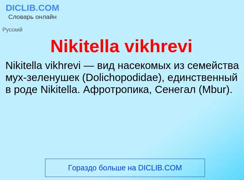 What is Nikitella vikhrevi - meaning and definition