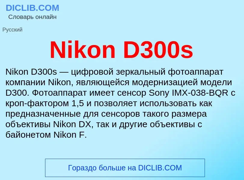 What is Nikon D300s - meaning and definition