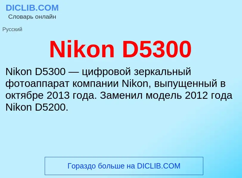 What is Nikon D5300 - meaning and definition