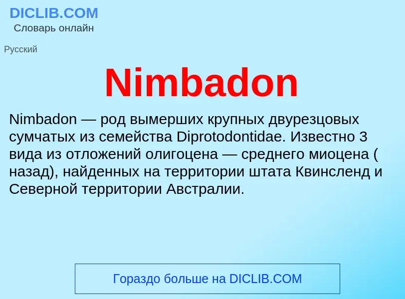 Was ist Nimbadon - Definition