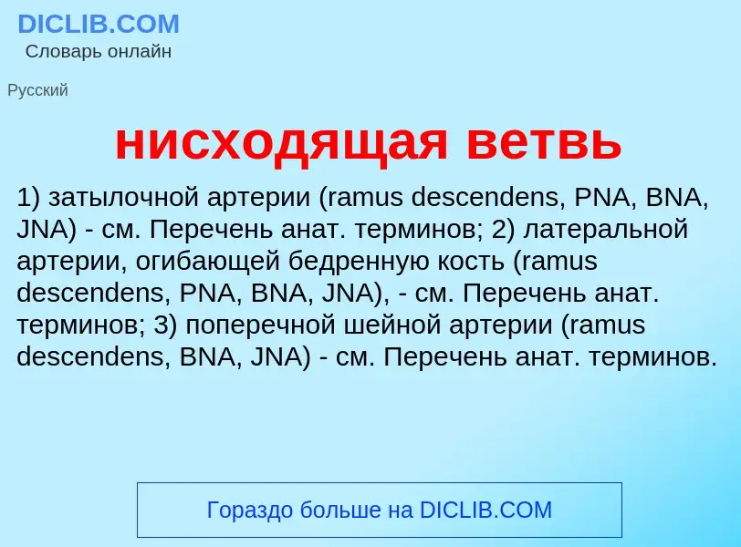 O que é нисходящая ветвь - definição, significado, conceito