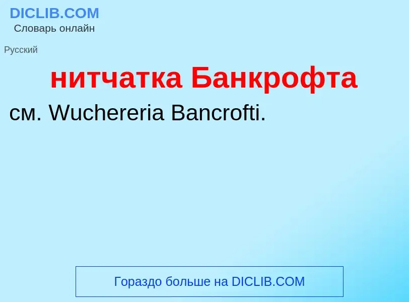 Что такое нитчатка Банкрофта - определение