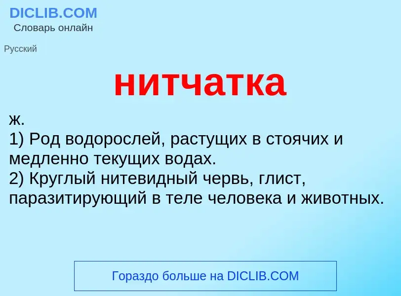 What is нитчатка - definition