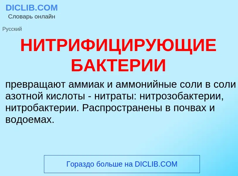 Was ist НИТРИФИЦИРУЮЩИЕ БАКТЕРИИ - Definition