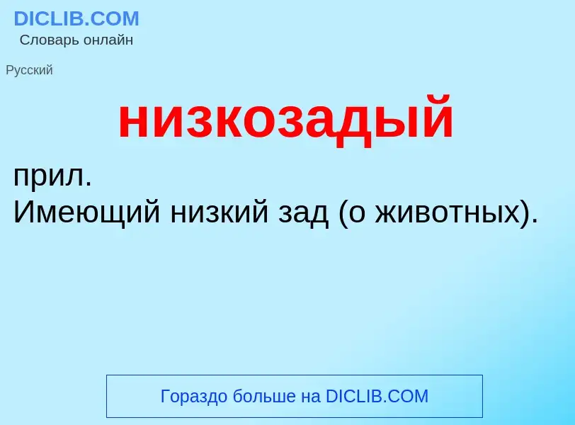 Что такое низкозадый - определение