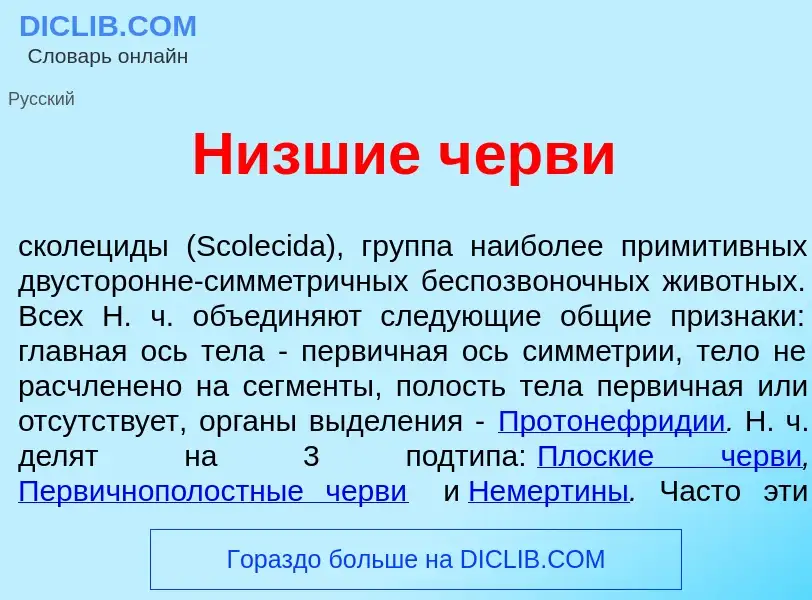 Что такое Н<font color="red">и</font>зшие ч<font color="red">е</font>рви - определение