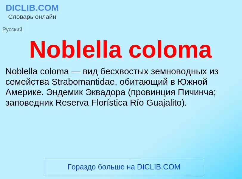 What is Noblella coloma - meaning and definition