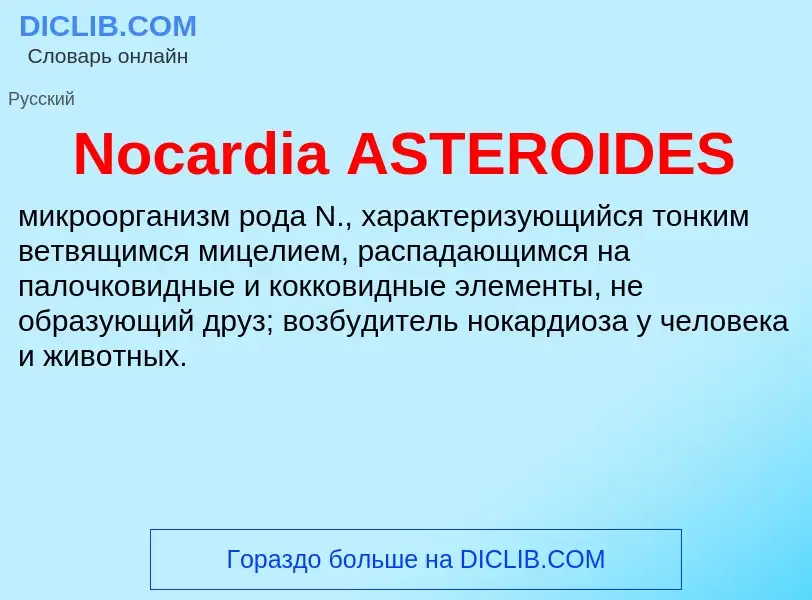 What is Nocardia ASTEROIDES - meaning and definition