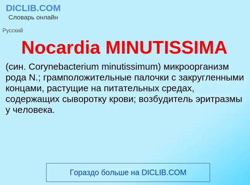 What is Nocardia MINUTISSIMA  - meaning and definition